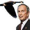 Bloomberg Supports Canada Goose Killings